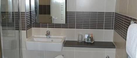 Baño con inodoro, lavabo, espejo y zona de ducha.