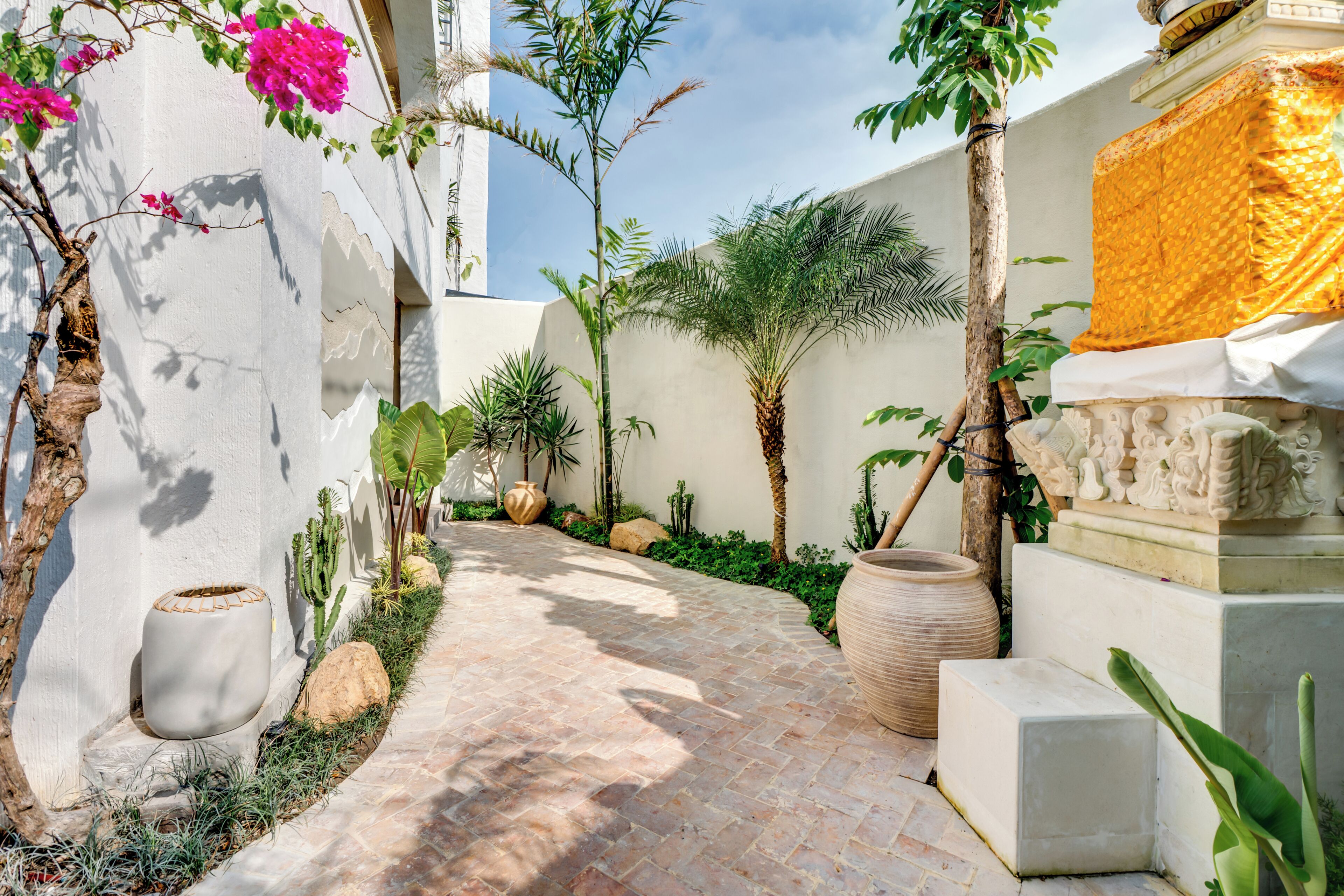 A paved pathway flanked by cacti, a palm tree, and a large vase.