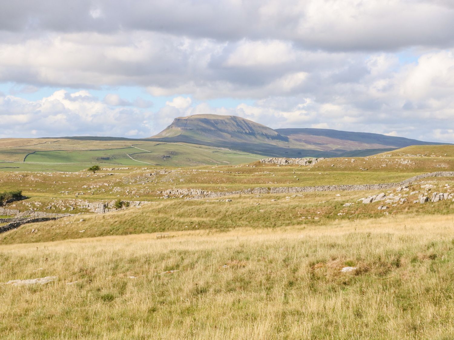 A rural landscape with rolling hills, a prominent mountain in the distance, and a stone wall in the foreground.