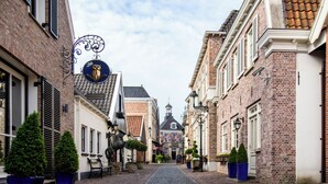 En kullerstensgata kantad av traditionella byggnader i tegel, en skylt med en ugglebild och krukväxter längs trottoaren.