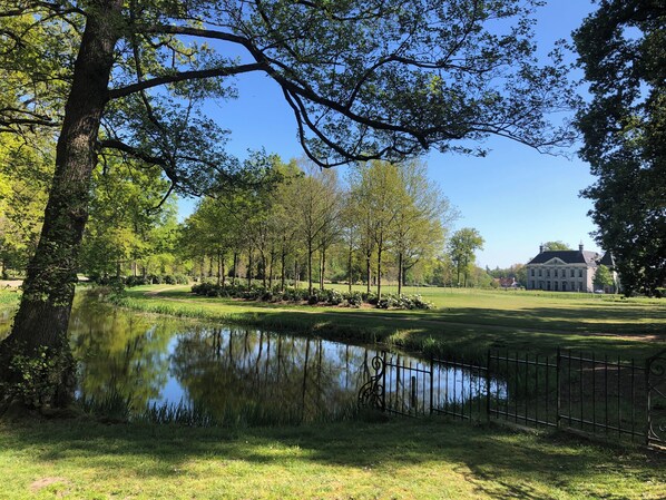 Un parc paisible avec un étang, des arbres et un grand bâtiment en arrière-plan.