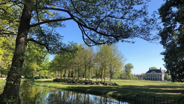 Un parc paisible avec un étang, des arbres et un grand bâtiment en arrière-plan.