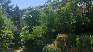 A hexagonal swimming pool with a wooden deck, surrounded by lush greenery and trees. - Gite VertCastel – Charming Green Retreat with Pool and Spa (Castelnaudary)