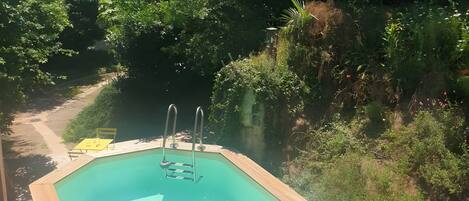 Uma piscina hexagonal com deck de madeira, rodeada por vegetação exuberante e árvores.