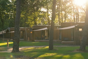 Een rij moderne vakantiehuisjes met grote ramen en buitenzitplaatsen, omringd door bomen.
