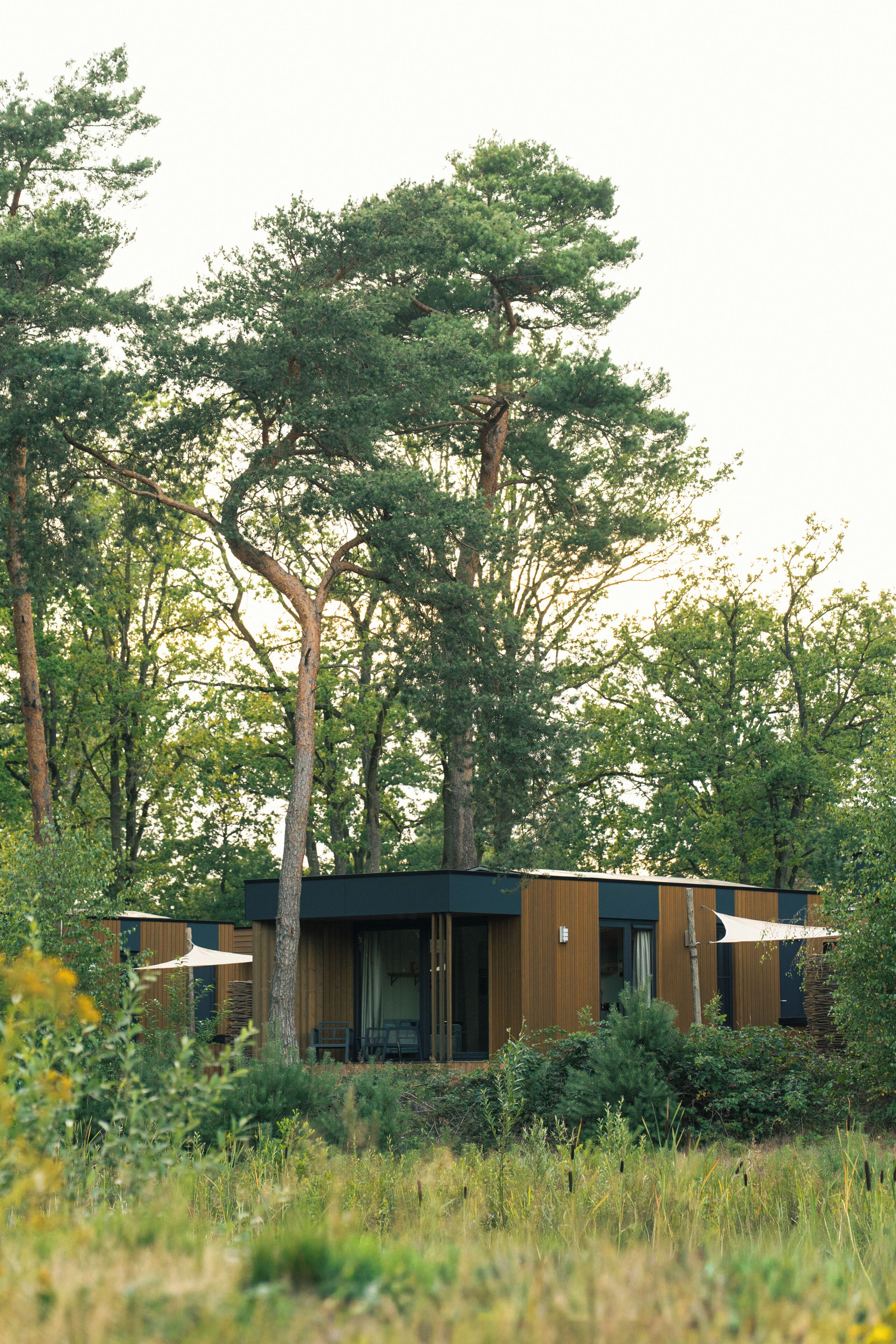 A modern building with a flat roof, surrounded by tall trees and dense vegetation.