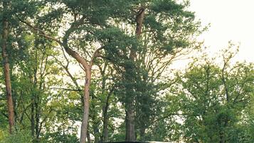 A modern building with a flat roof, surrounded by tall trees and dense vegetation.
