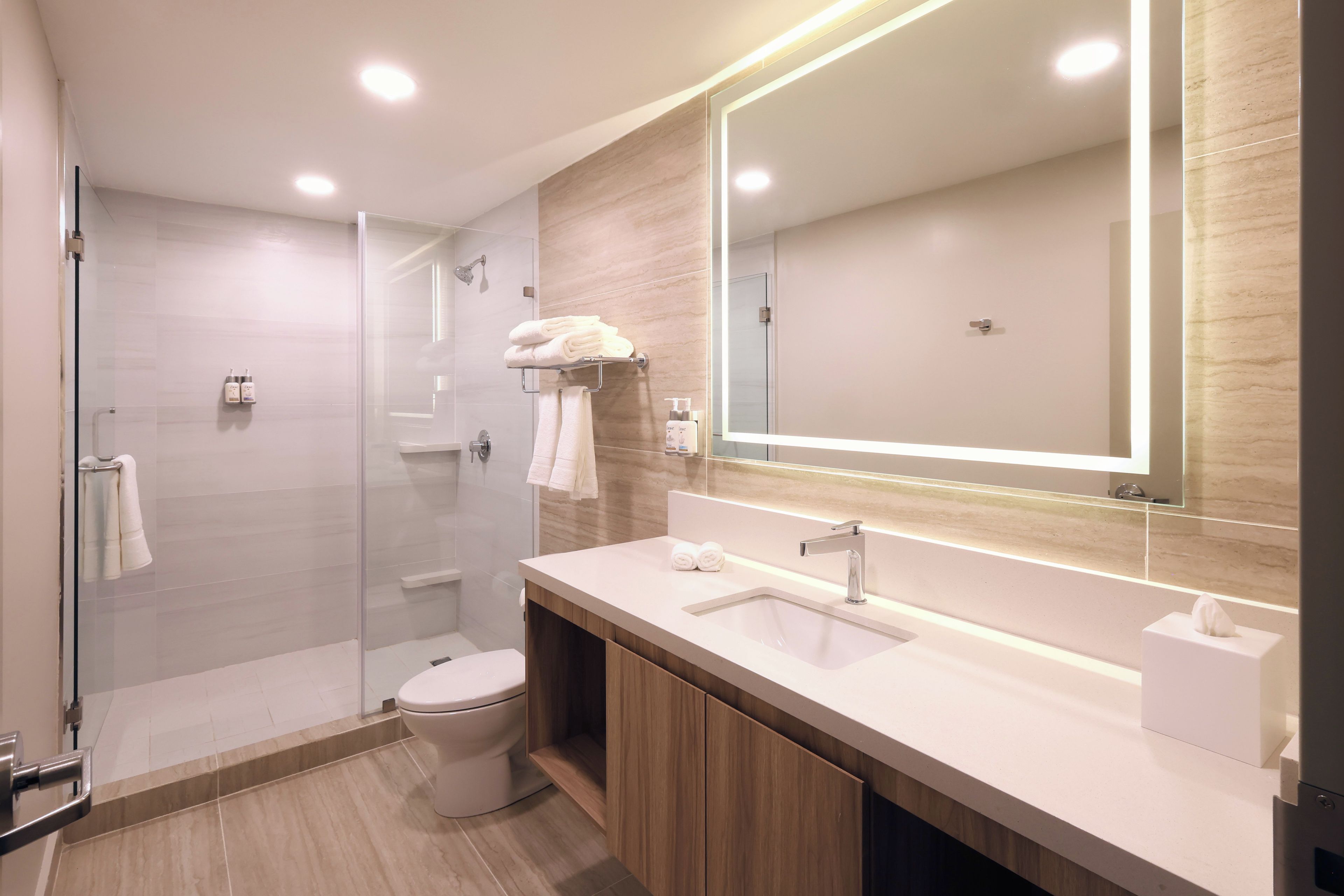 A modern bathroom with a glass shower enclosure, a toilet, a vanity with a sink, and a large mirror.