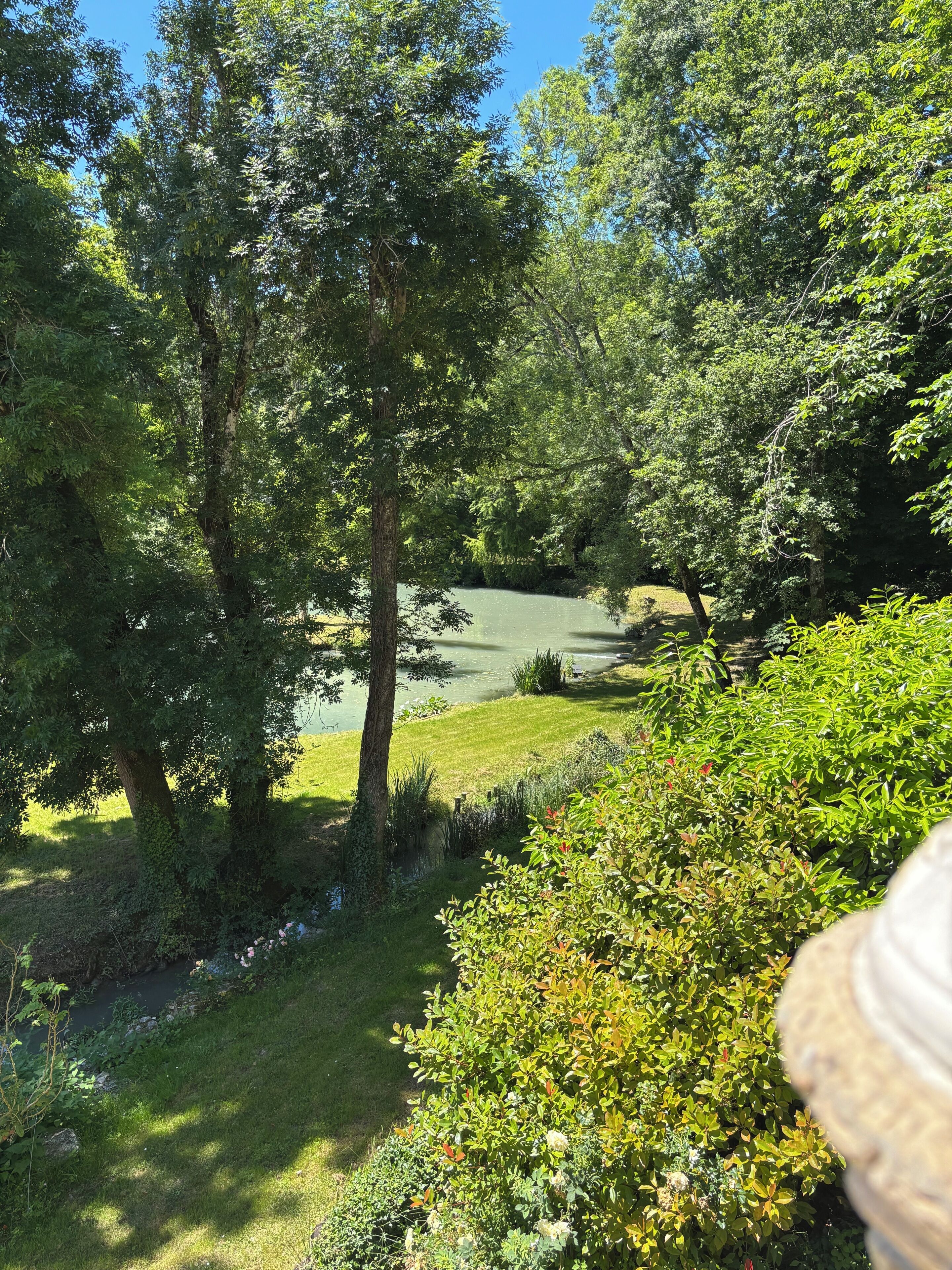 Ein üppiger Garten mit Teich, umgeben von dichten Bäumen und verschiedenen Sträuchern.