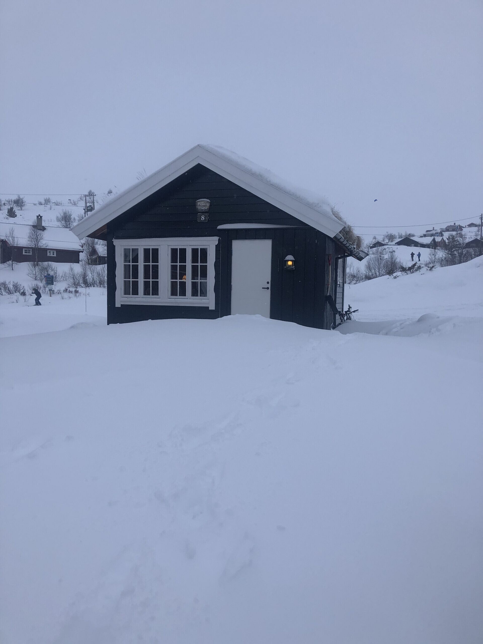 Eksteriør