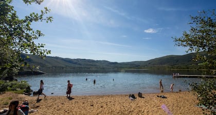 Cozy hallingstue in Geilo