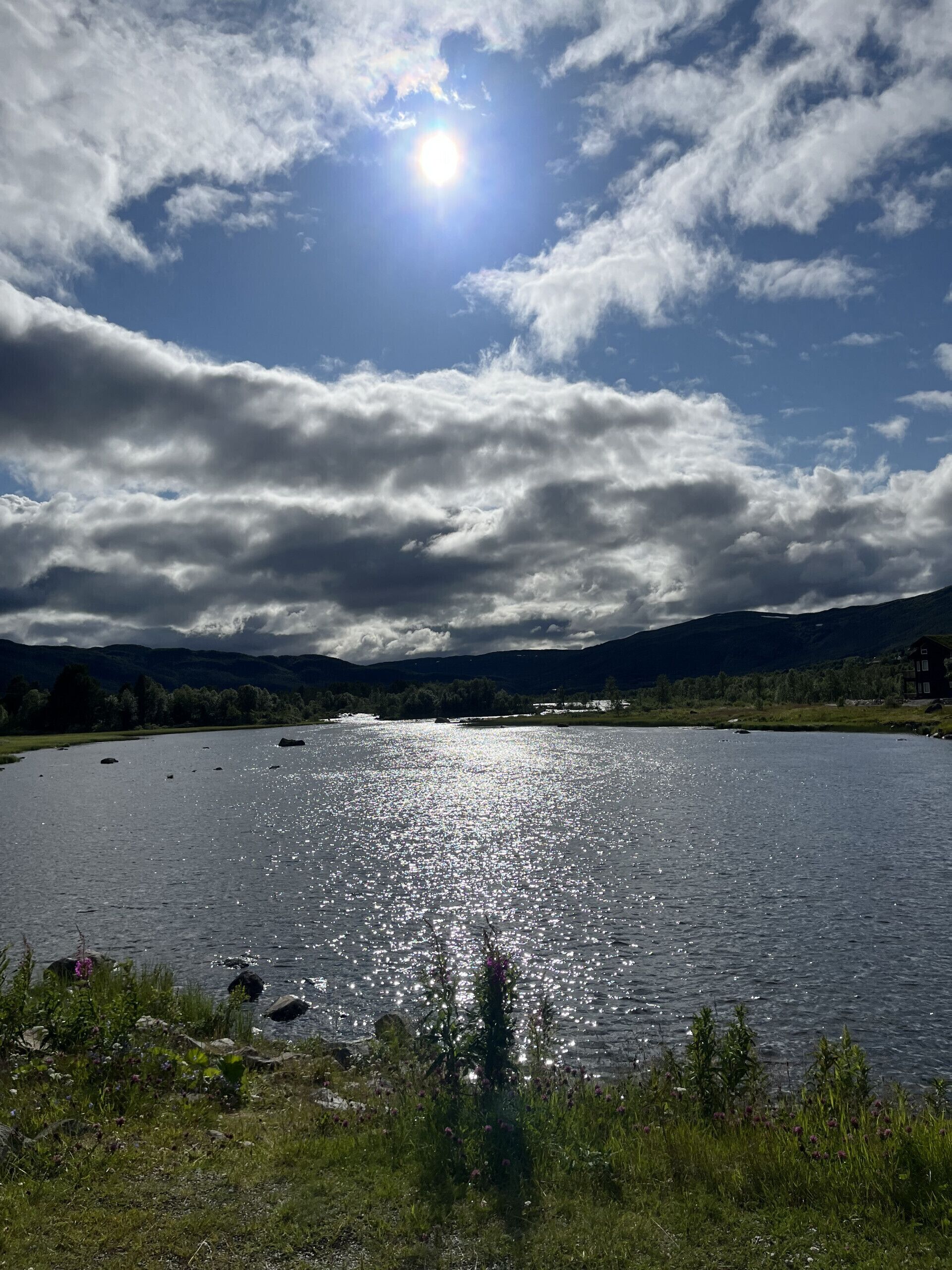 A lake with a clear sky, surrounded by mountains and greenery.