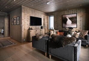 Fernseher, Kamin