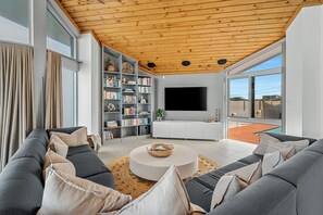 TV, fireplace, ping pong, books