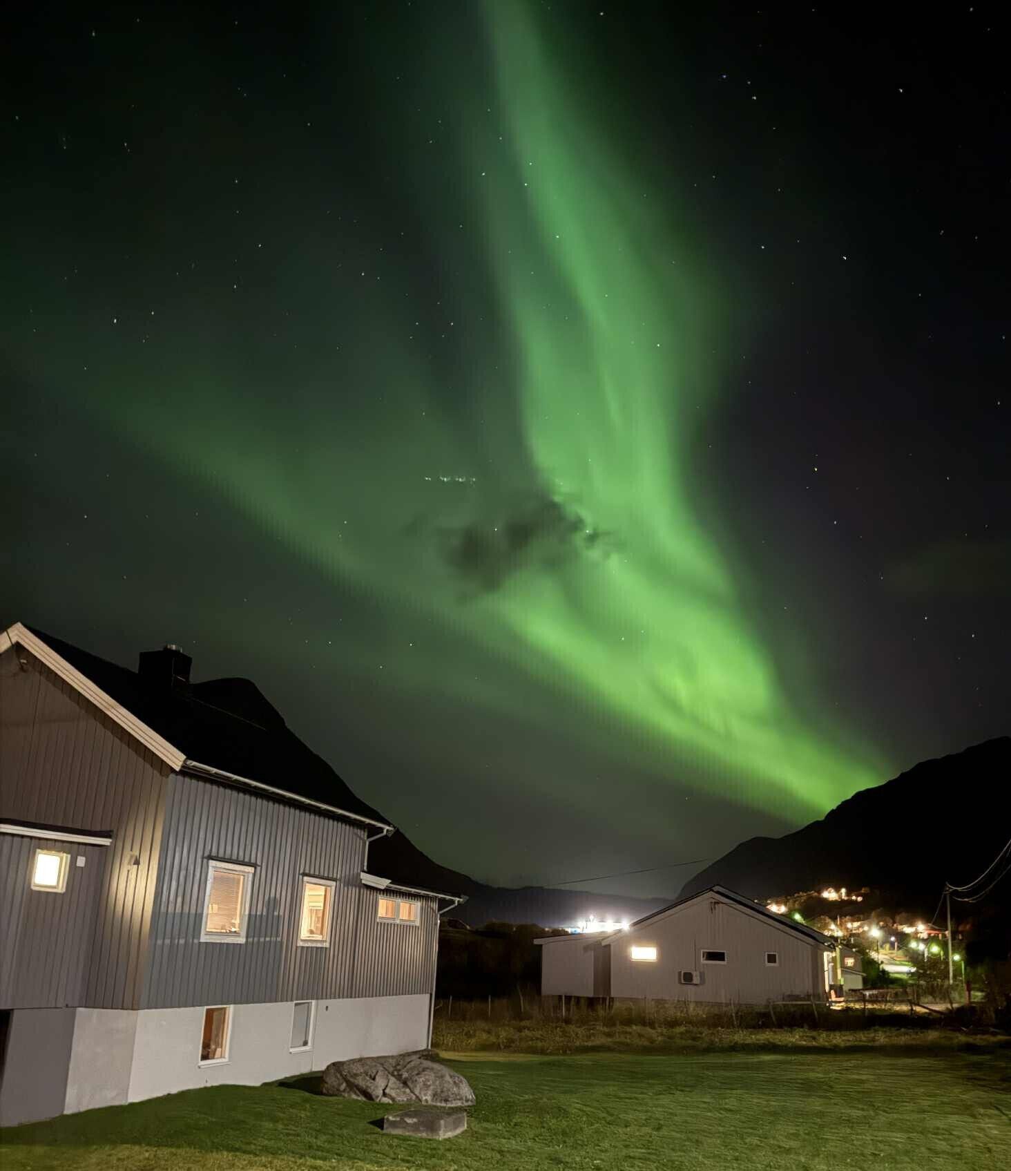 Exteriör