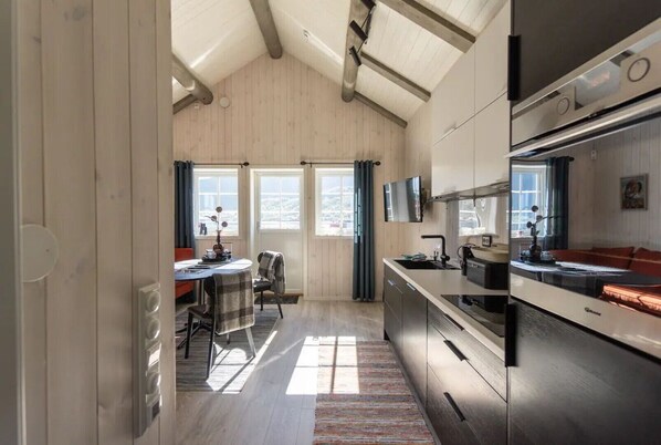 Fridge, oven, dishwasher, electric kettle