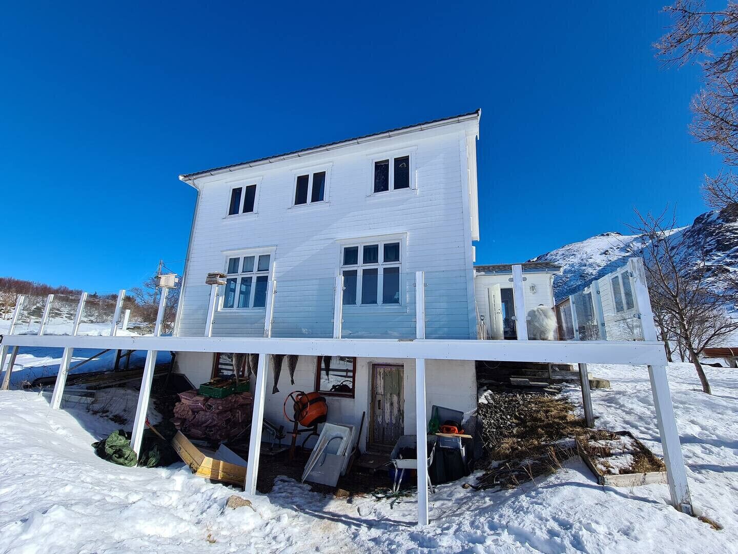 Exteriör