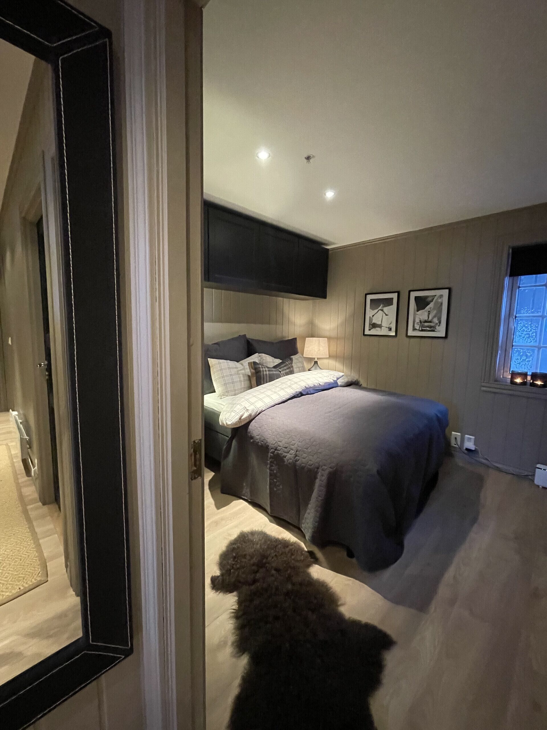 A bedroom with a bed, a nightstand, a lamp, a window with a view, and a dog.
