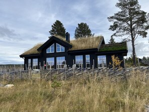 Exterior - New and great family cabin on Golsfjellet (Gol)
