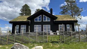 Eksteriør