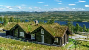 Une cabane au toit de chaume, entourée d’un paysage naturel et d’un lac.