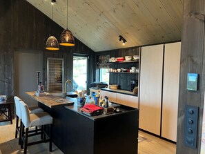 Fridge, oven, dishwasher, coffee/tea maker - Spacious, exclusive and modern cabin for rent in Kikut, Geilo (Hol)