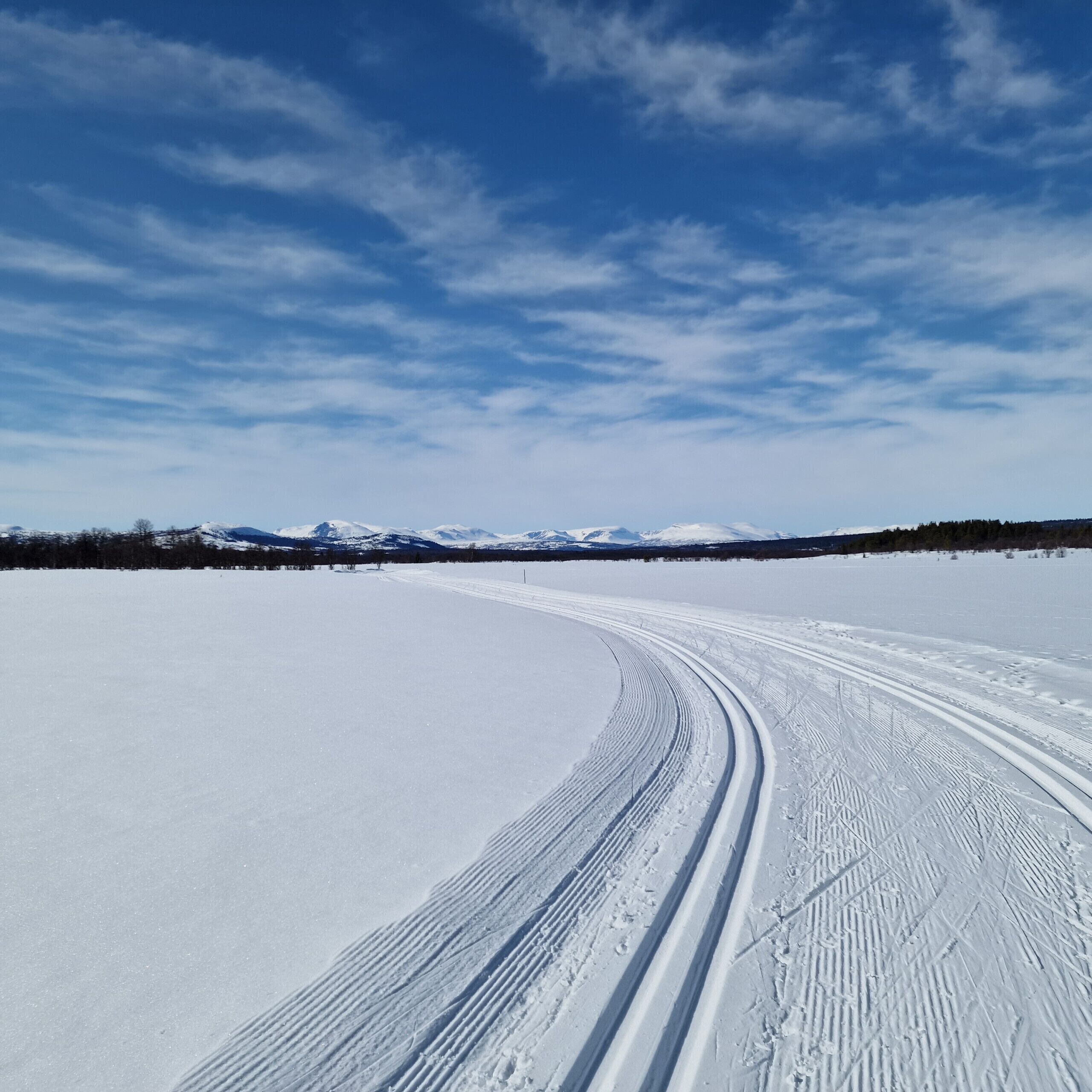 A snowy landscape with a clear sky and a wide, open field.