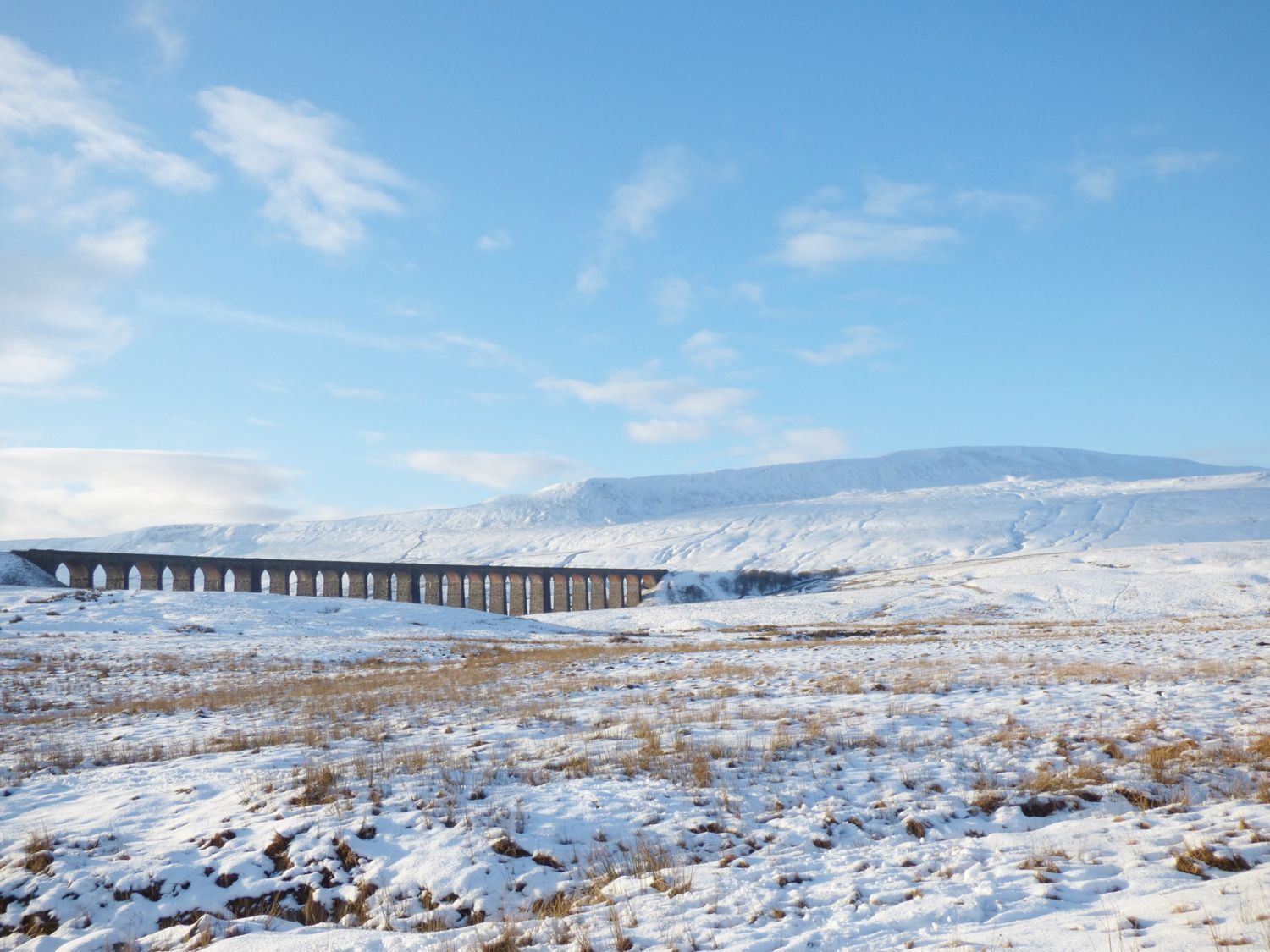 Paesaggio innevato con un ponte ferroviario.