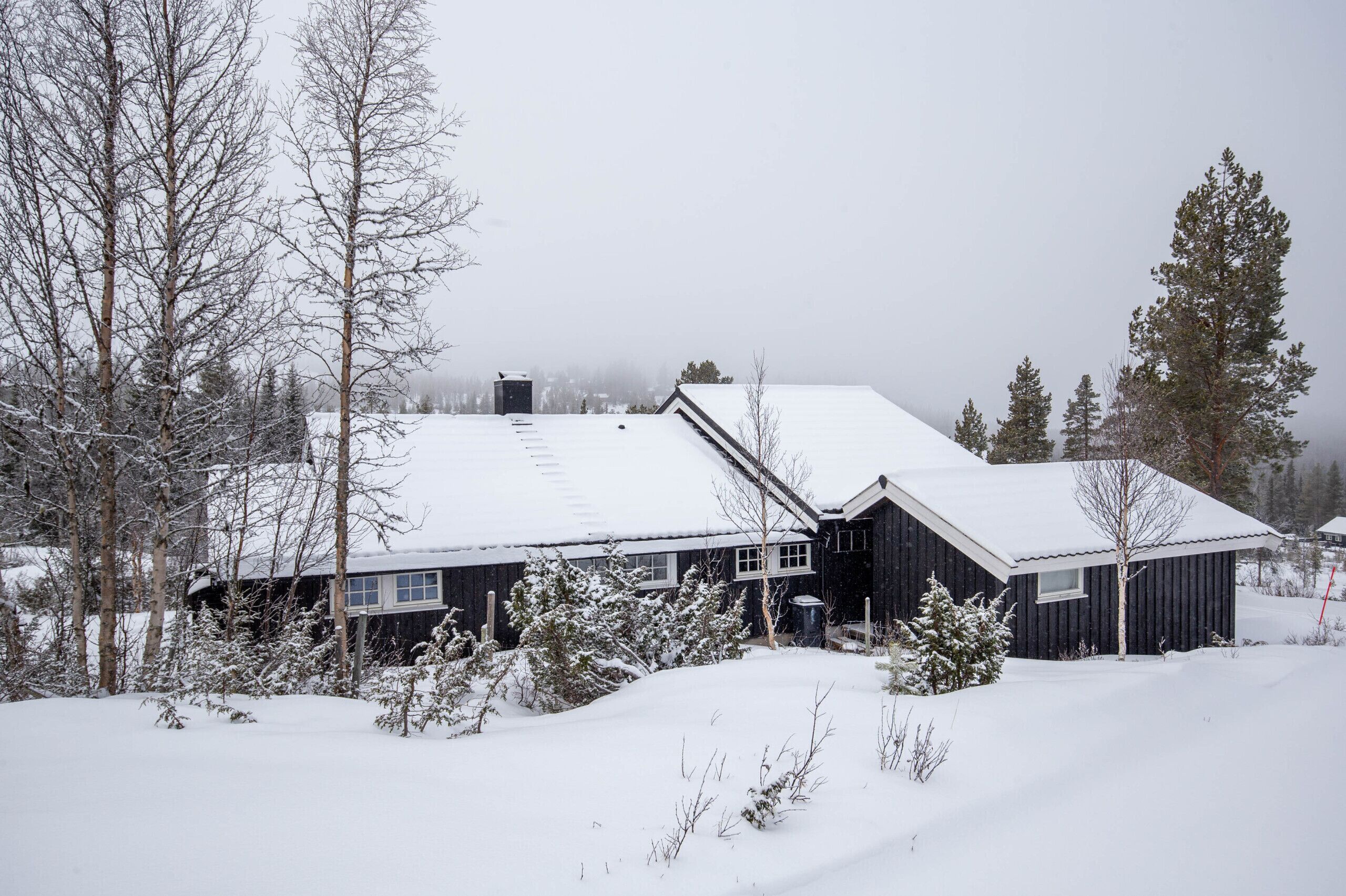 Udendørsområde