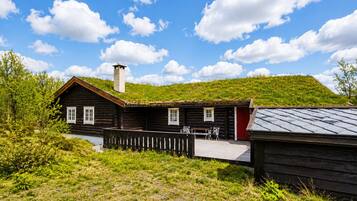 Eksteriør