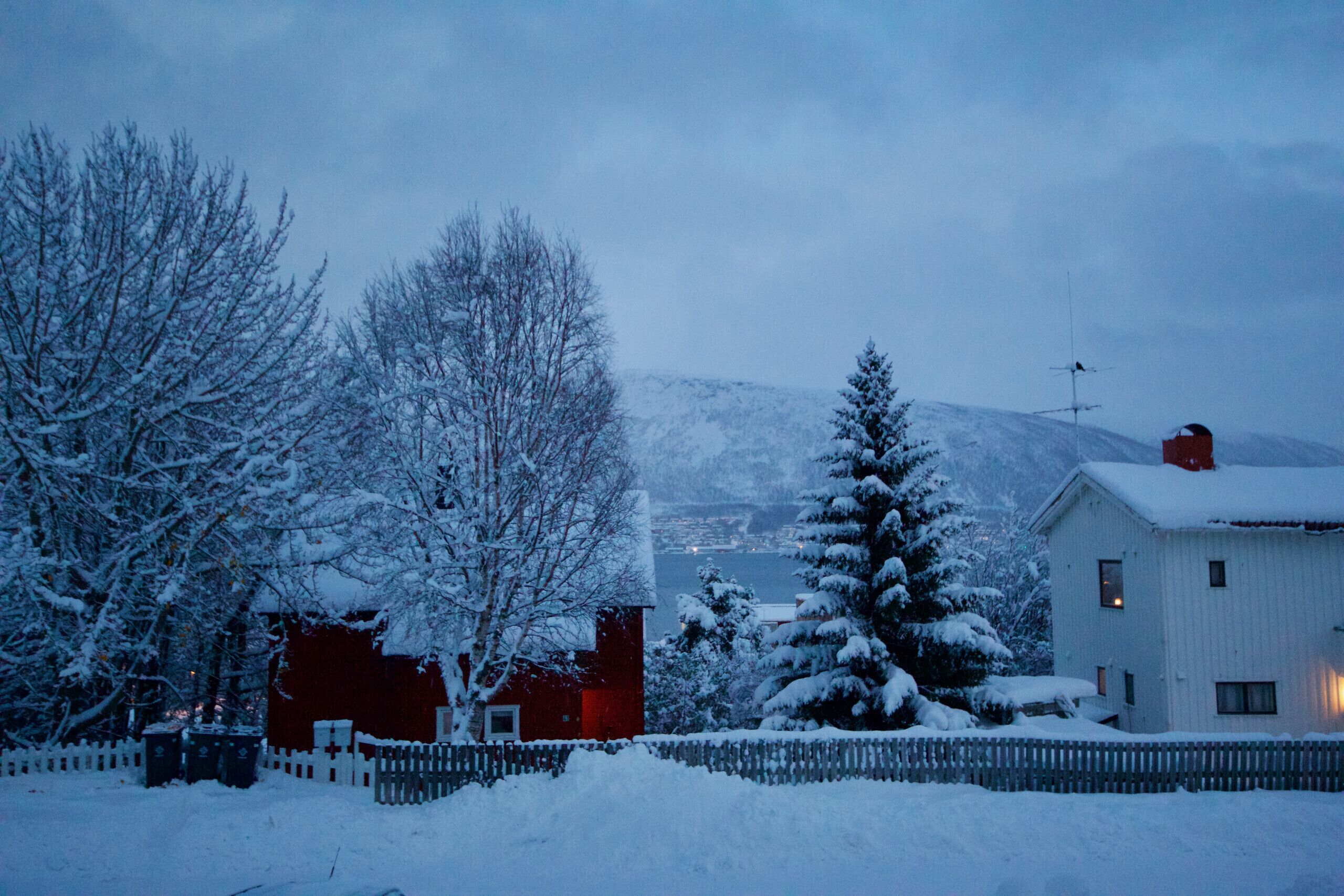 Udendørsområde