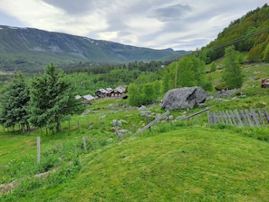 Paesaggio rurale con una casa circondata dal verde, un masso e un recinto in legno.