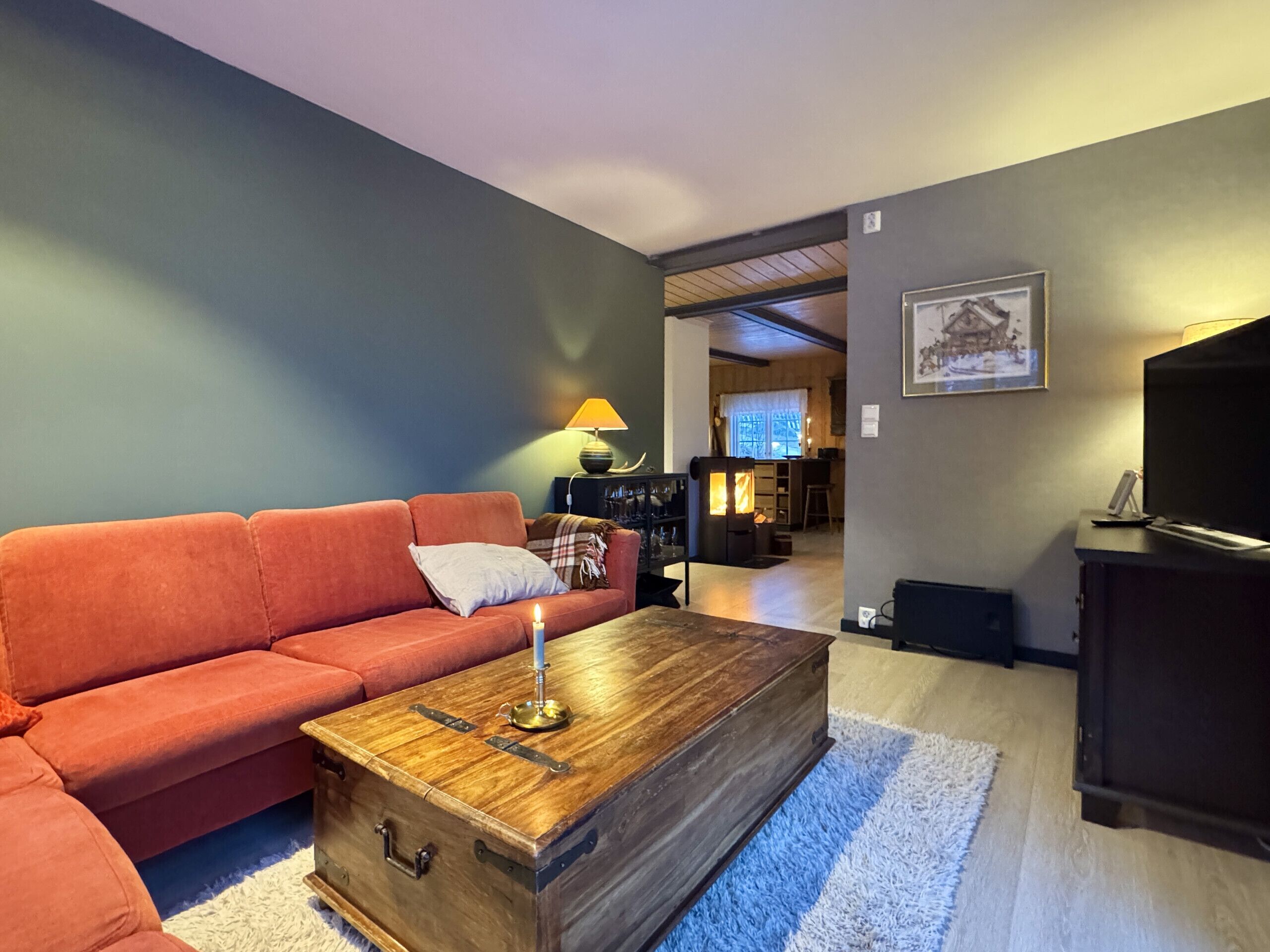 TV, fireplace