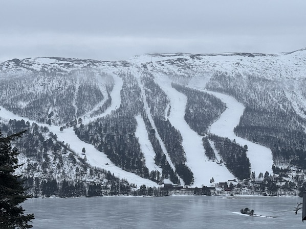 Sports d’hiver