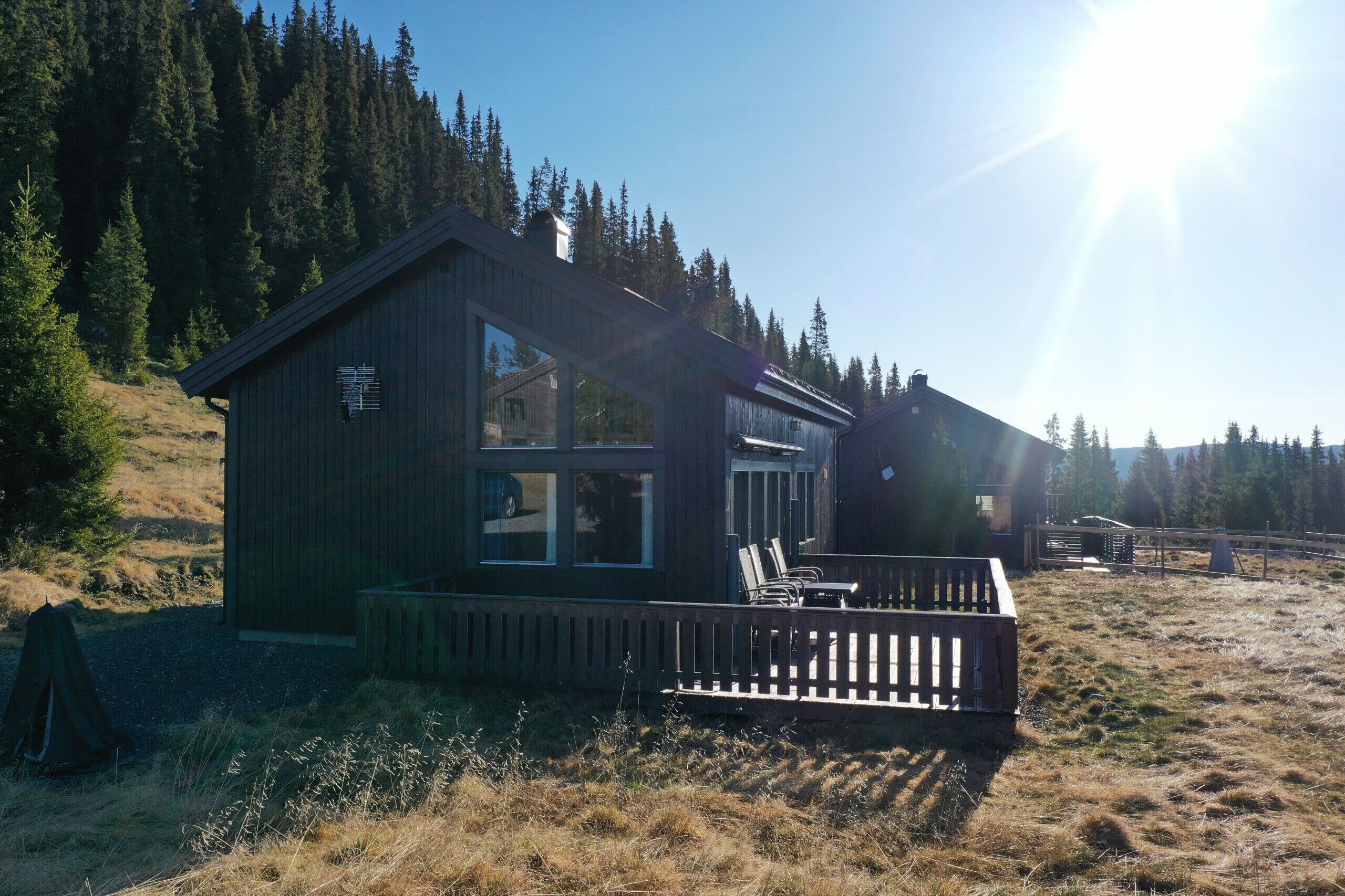 Eksteriør