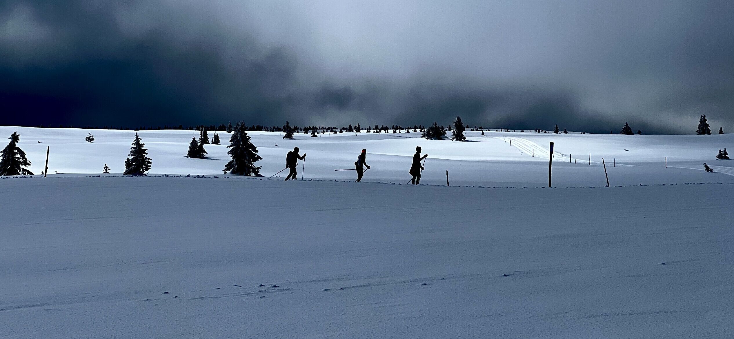 雪地及滑雪運動