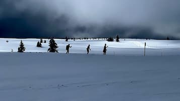 Deportes de invierno y ski