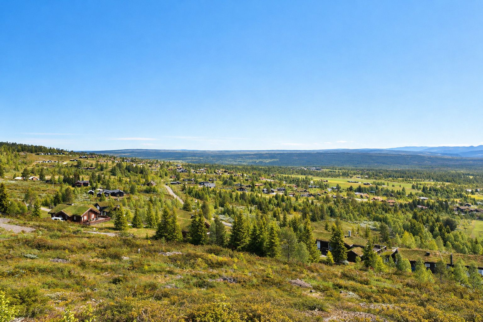 A rural landscape with scattered houses and dense forest.