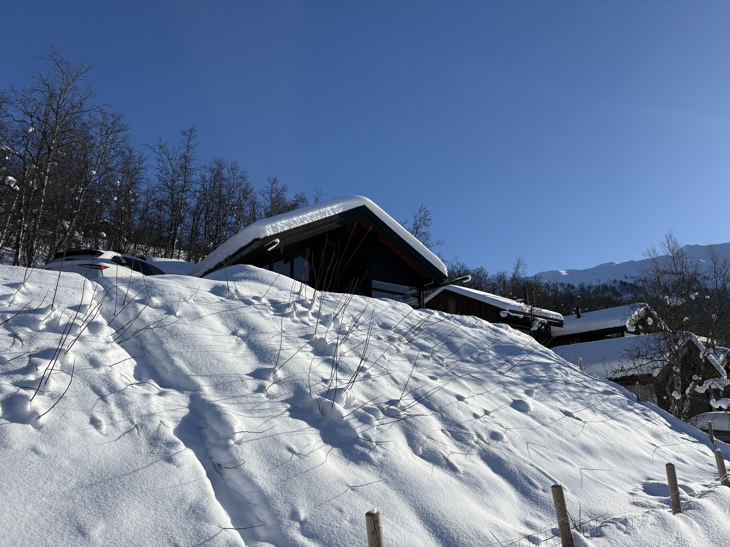 Udendørsområde