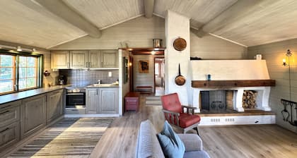 Briskebu, cosy cabin by ski slopes