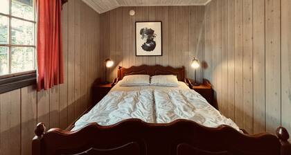Briskebu, cosy cabin by ski slopes