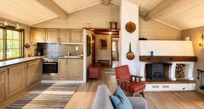 Briskebu, cosy cabin by ski slopes