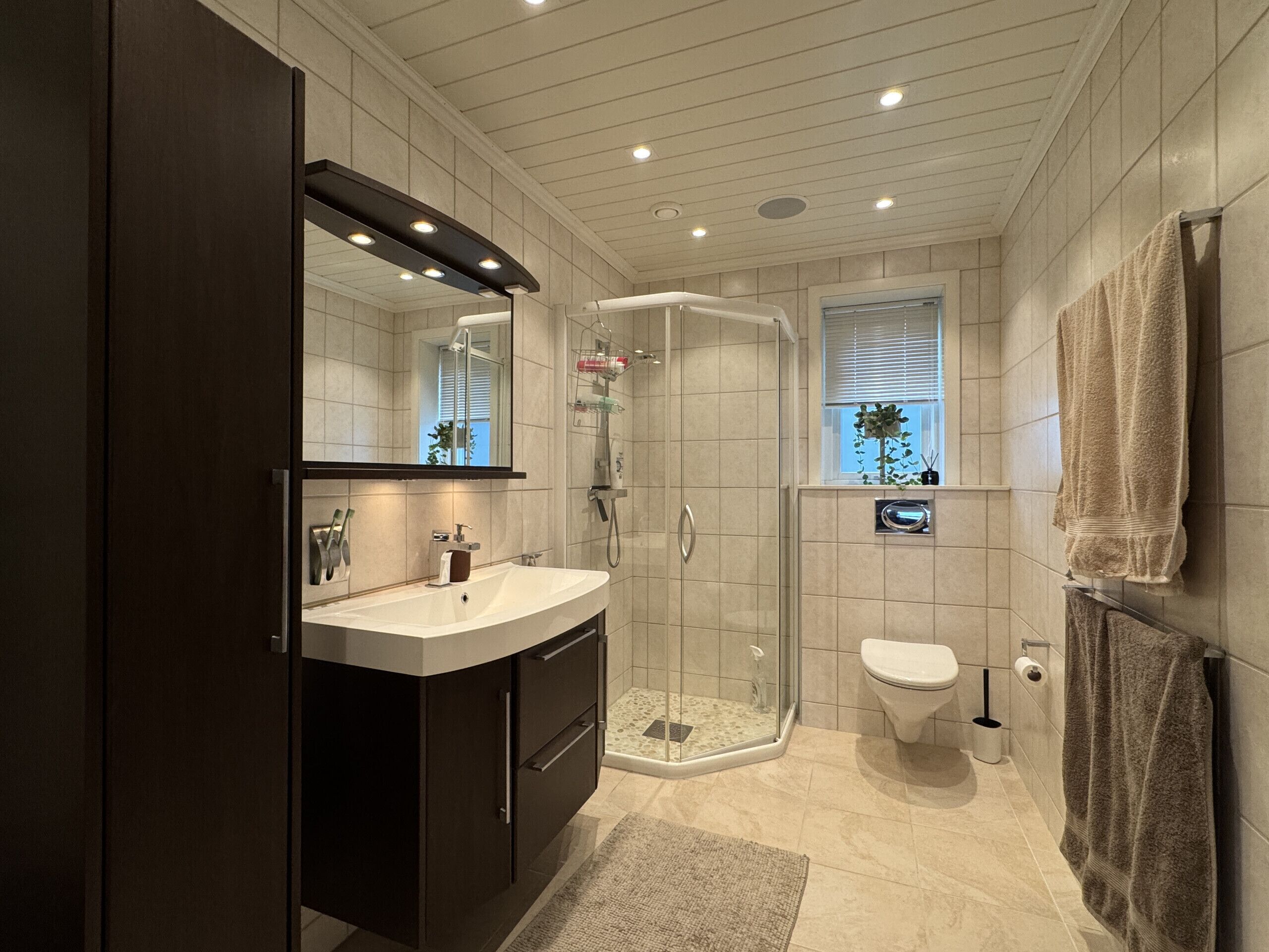 Shower, towels