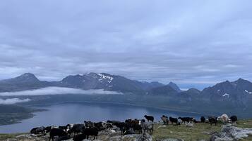 Eine Berglandschaft mit einem See und einer Schafherde, die weidet.