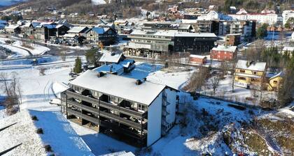 Central Apartment in Geilo