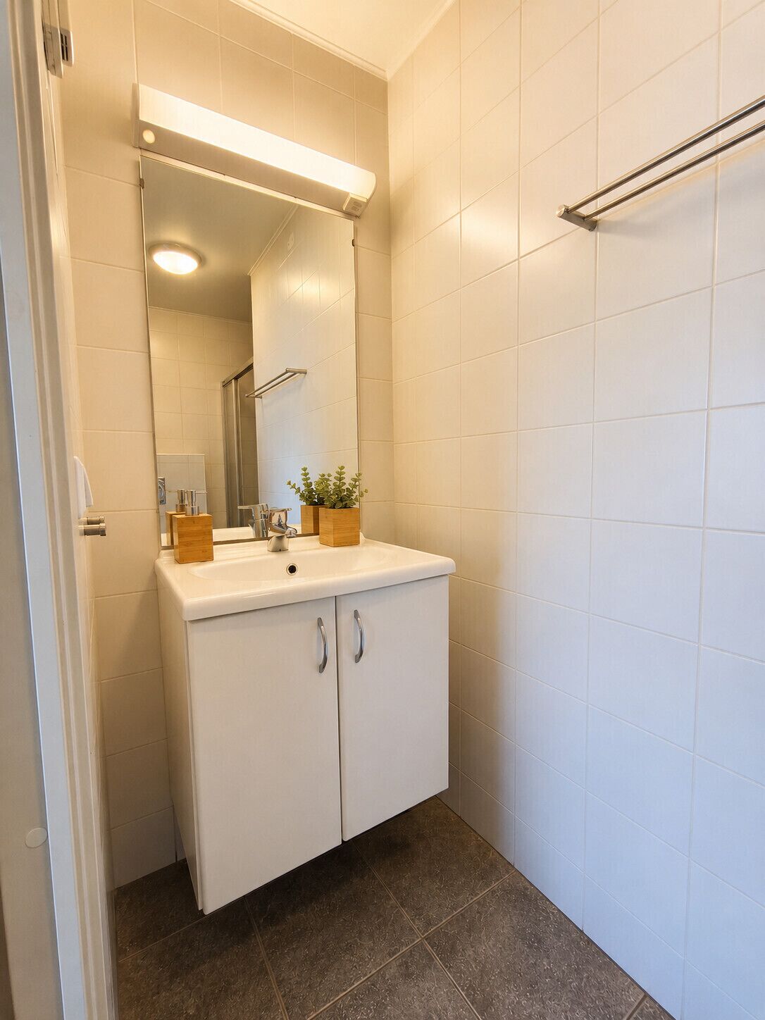 A bathroom with a white vanity, a mirror, a towel rack, and a potted plant.