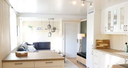 Central apartment in Lillehammer