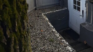 A fenced backyard with a door, a tree, and a yellow house in the background. - Central apartment in Lillehammer (Lillehammer)