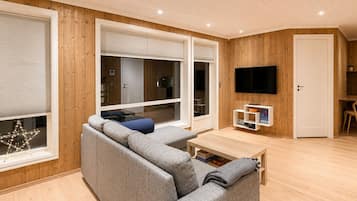 Fernseher