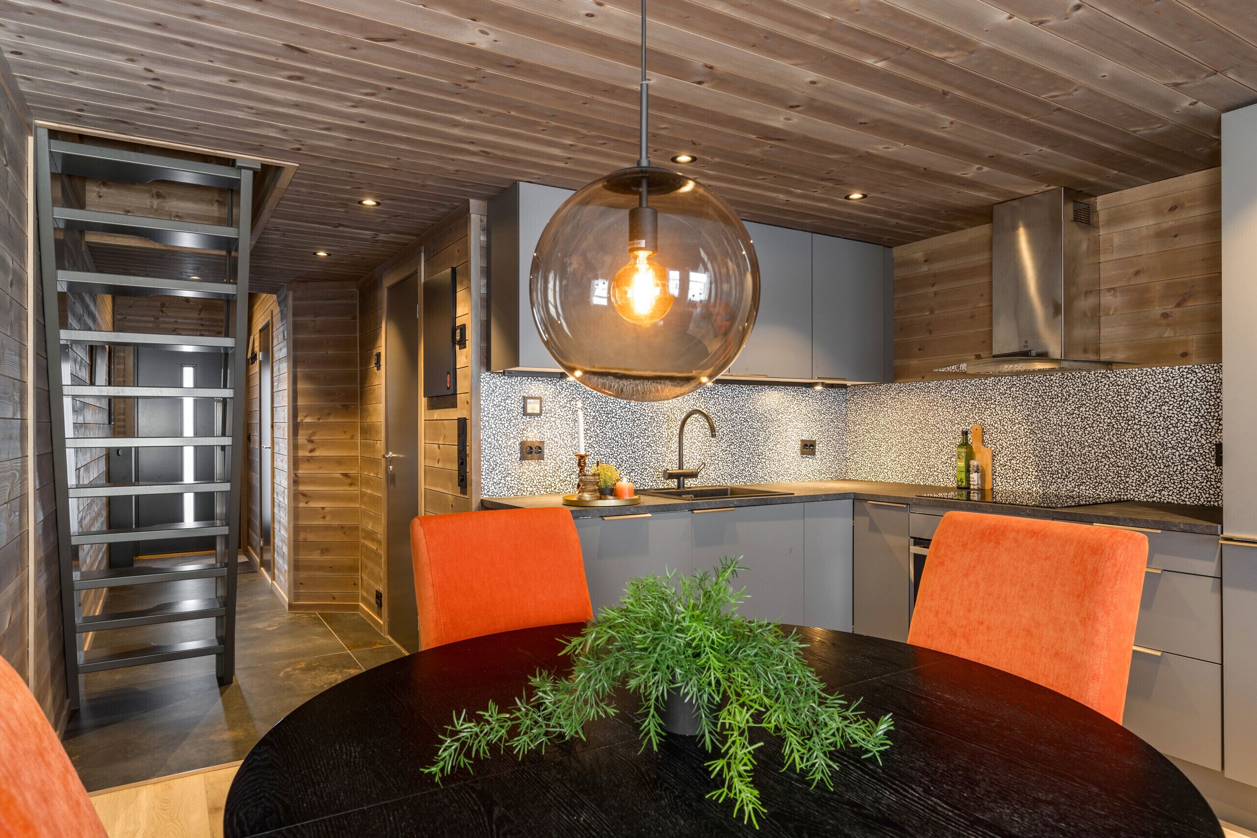Fridge, oven, dishwasher, electric kettle